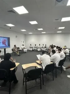 American University In The Emirates