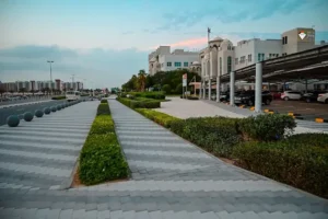 American University In The Emirates 