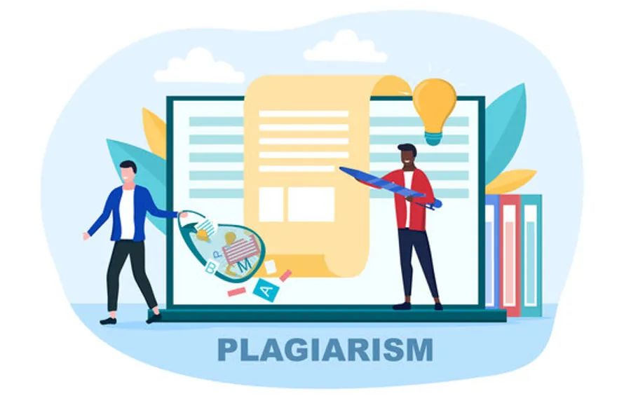 Plagiarism Risks