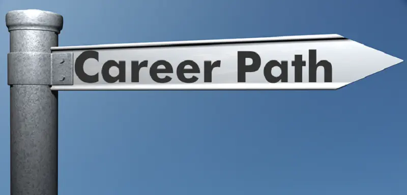 Right Career Path