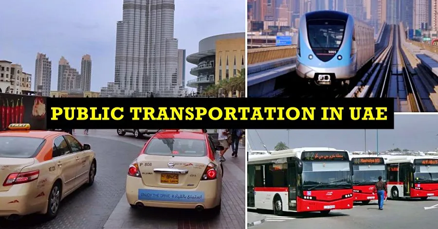 Public Transportation