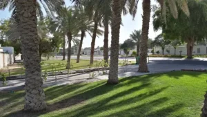 dubai medical college for girls