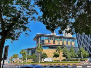 mohammed bin rashid university of medicine and health sciences