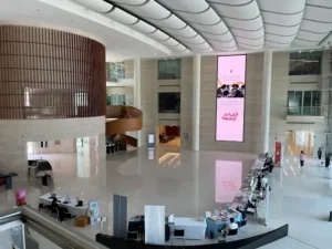 mohammed bin rashid university of medicine and health sciences