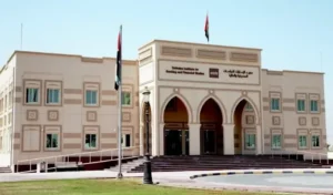 skyline university college