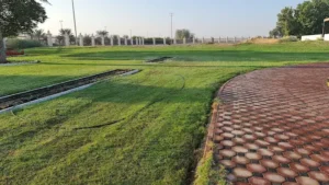 skyline university college