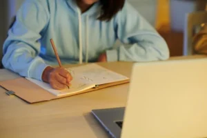 essay writing in uae