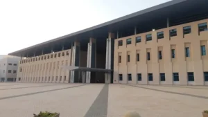 Zayed University Collective Care Model UAE