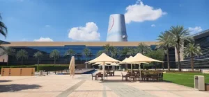 Zayed University Collective Care Model UAE