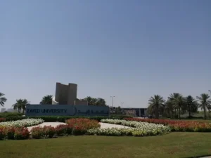 Zayed University Collective Care Model UAE