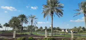 Zayed University Collective Care Model UAE