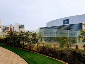 new york university abu dhabi