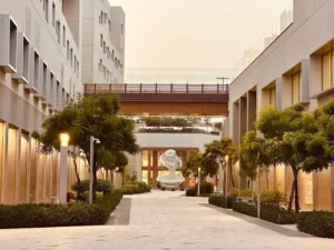 new york university abu dhabi