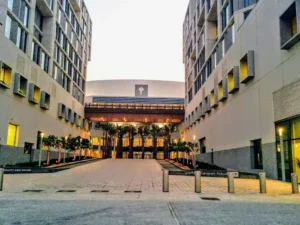 new york university abu dhabi