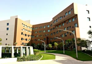 new york university abu dhabi