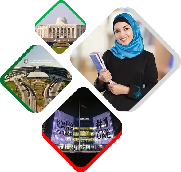 Assignment Help UAE