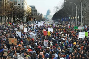 linguistic activism Global South