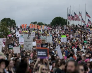 language and resistance studies
