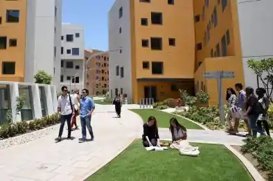 NYU Abu Dhabi Assignment Help