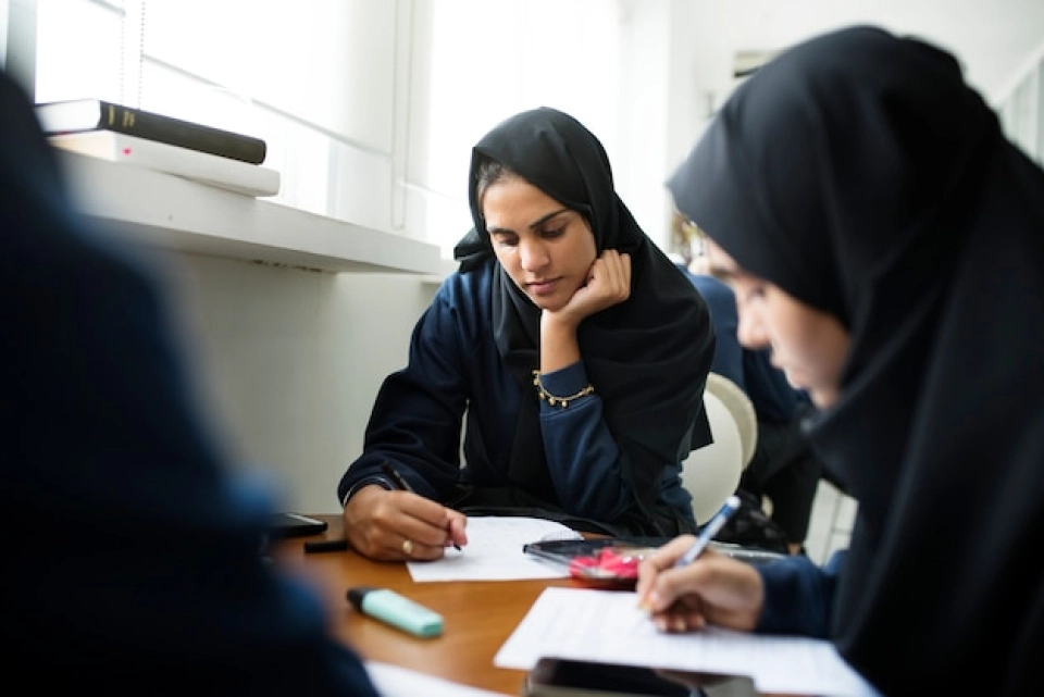 assignment writing help in dubai for university students