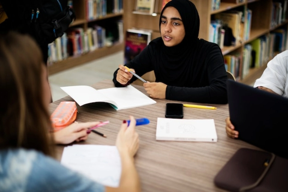 Student using essay writing help in Ajman while comparing the academic requirements of ENG 104 and ENG 113 at Ajman University.