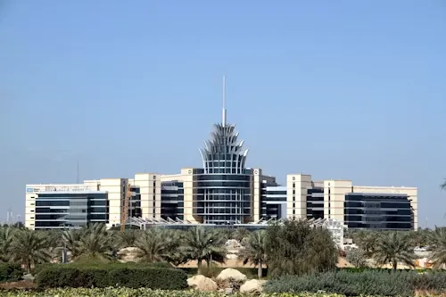 A university student in Dubai analyzing unexpected experimental results for a lab report